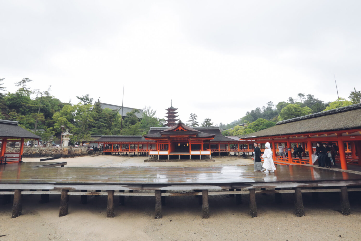 宮島レ・クロの様子