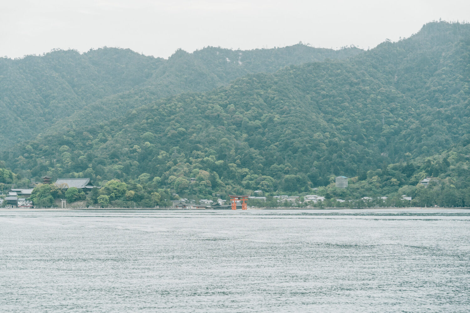 厳島いろはの様子