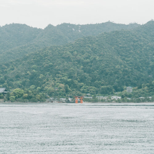 厳島いろはの様子
