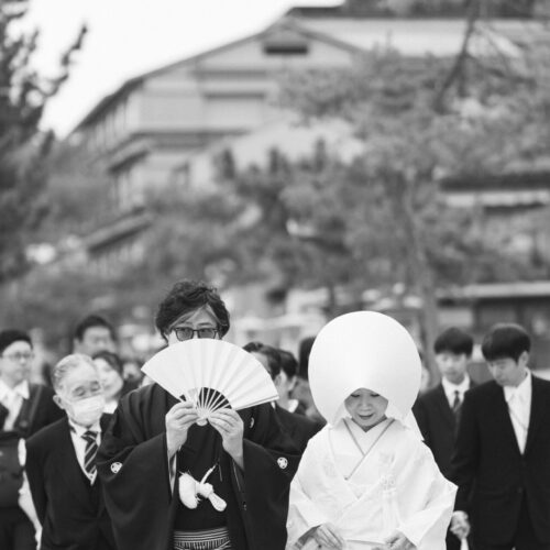 厳島いろはの様子