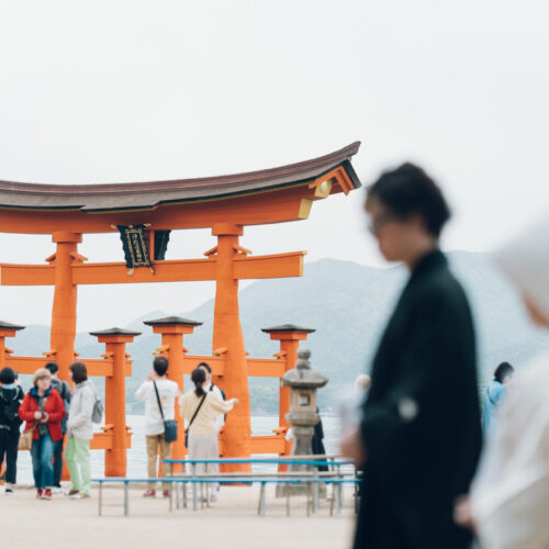 厳島いろはの様子