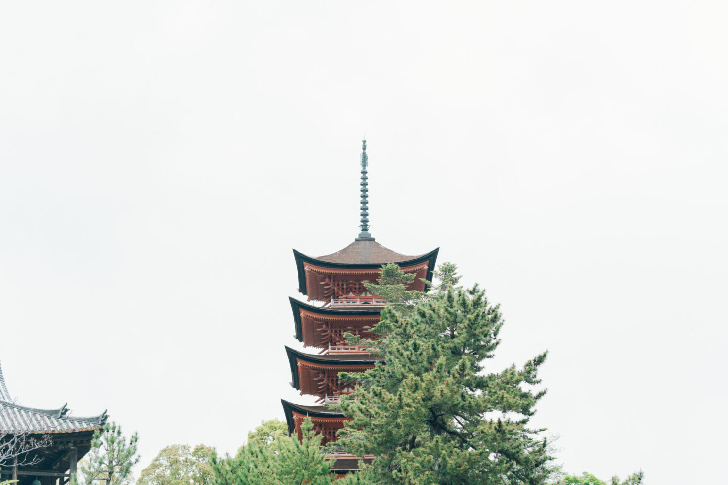 厳島いろはの様子