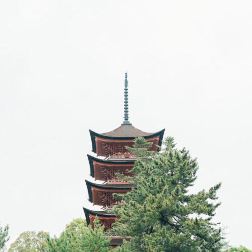厳島いろはの様子