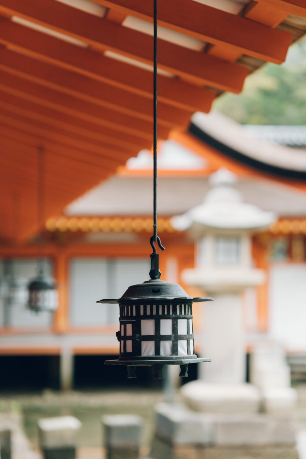 厳島いろはの様子
