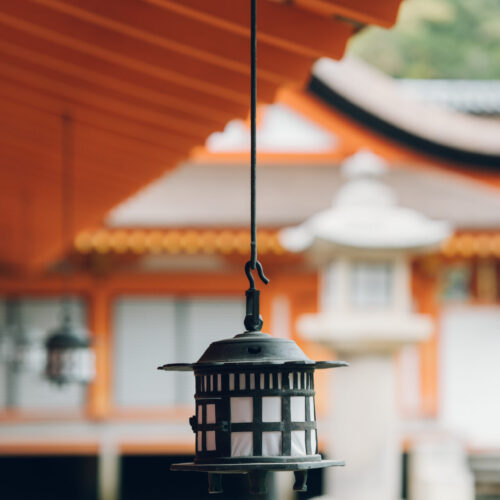 厳島いろはの様子