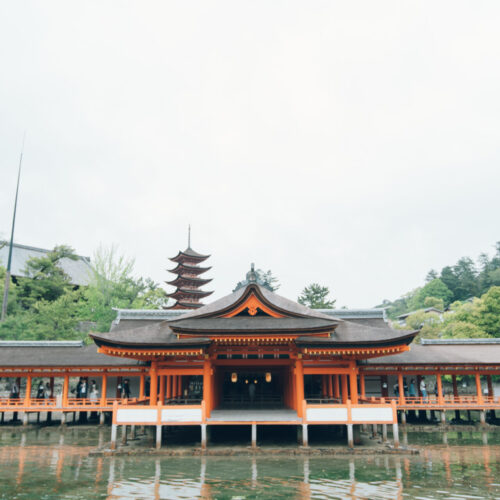 厳島いろはの様子