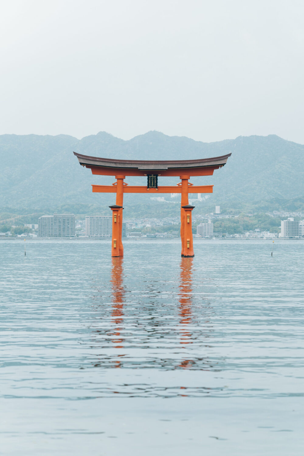 厳島いろはの様子