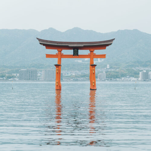 厳島いろはの様子