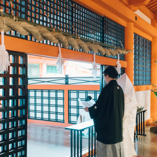 厳島いろはの様子
