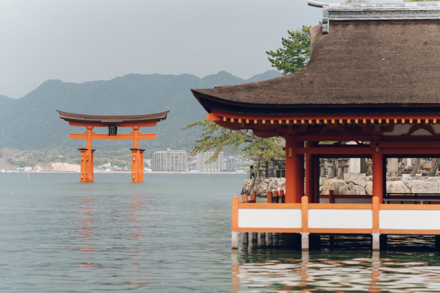 嚴島神社の様子