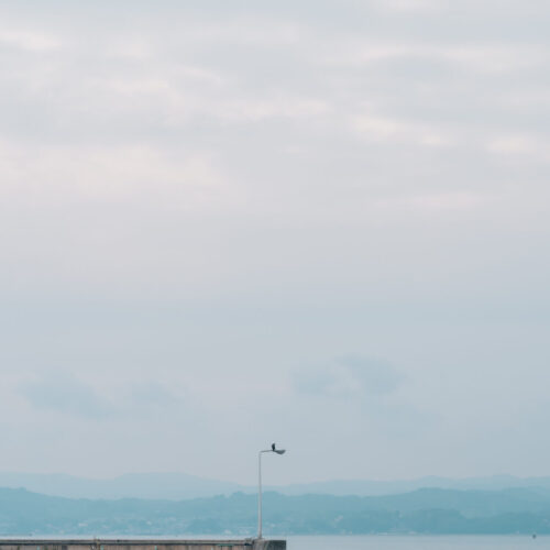 Ryokan尾道西山の様子