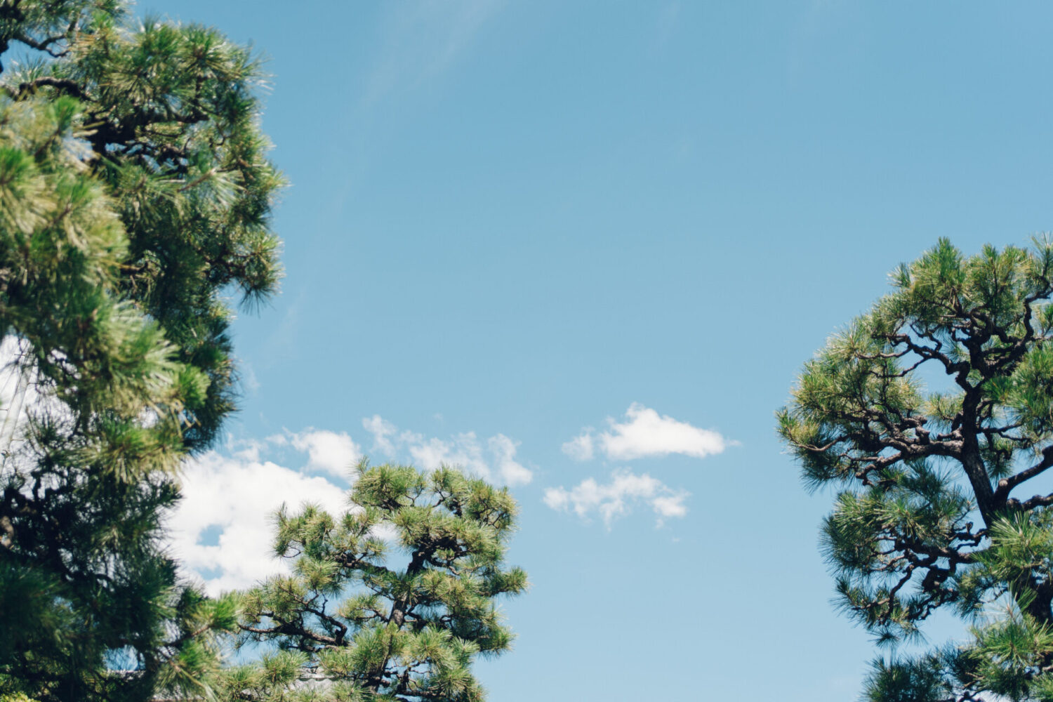 Ryokan尾道西山の様子