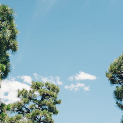 Ryokan尾道西山の様子