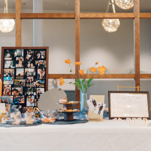 セトノウツツの様子