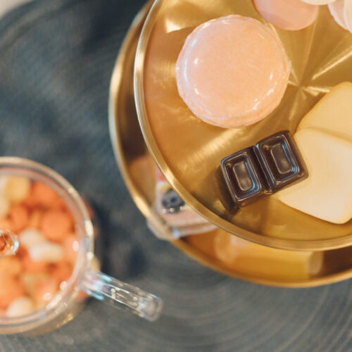 セトノウツツの様子