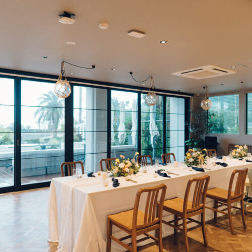 セトノウツツの様子