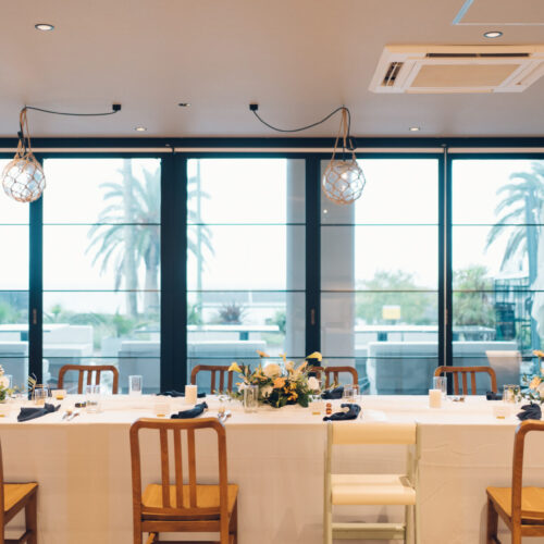 セトノウツツの様子