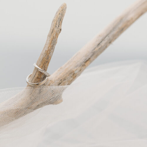 セトノウツツの様子