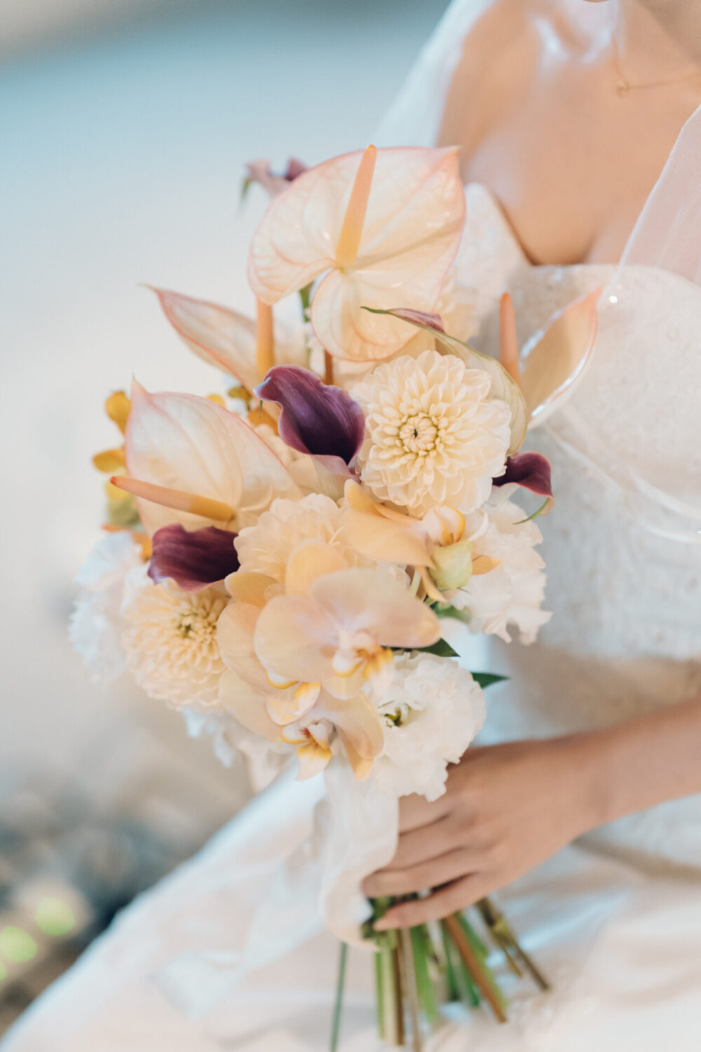 セトノウツツの様子