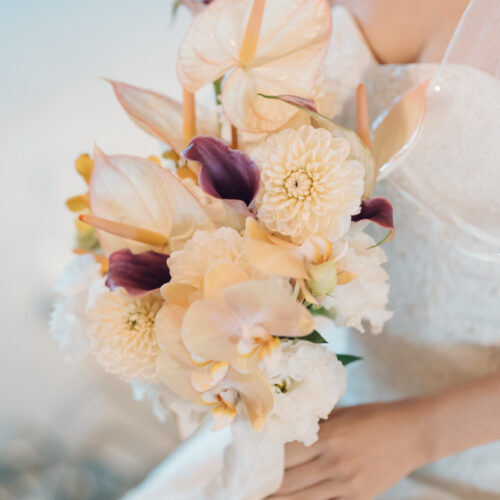 セトノウツツの様子