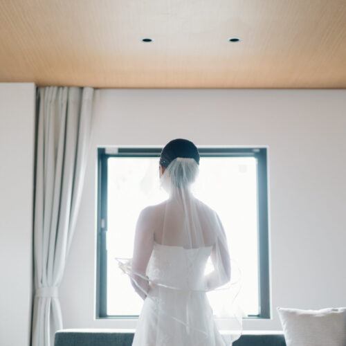 セトノウツツの様子