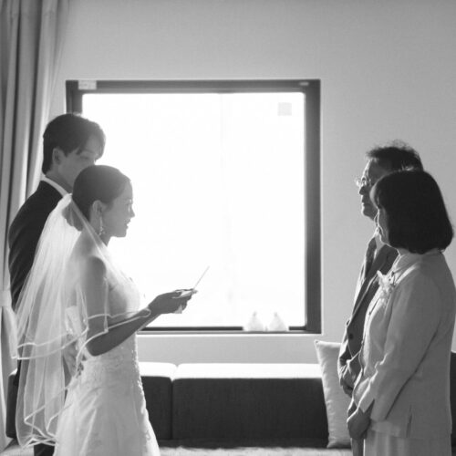 セトノウツツの様子