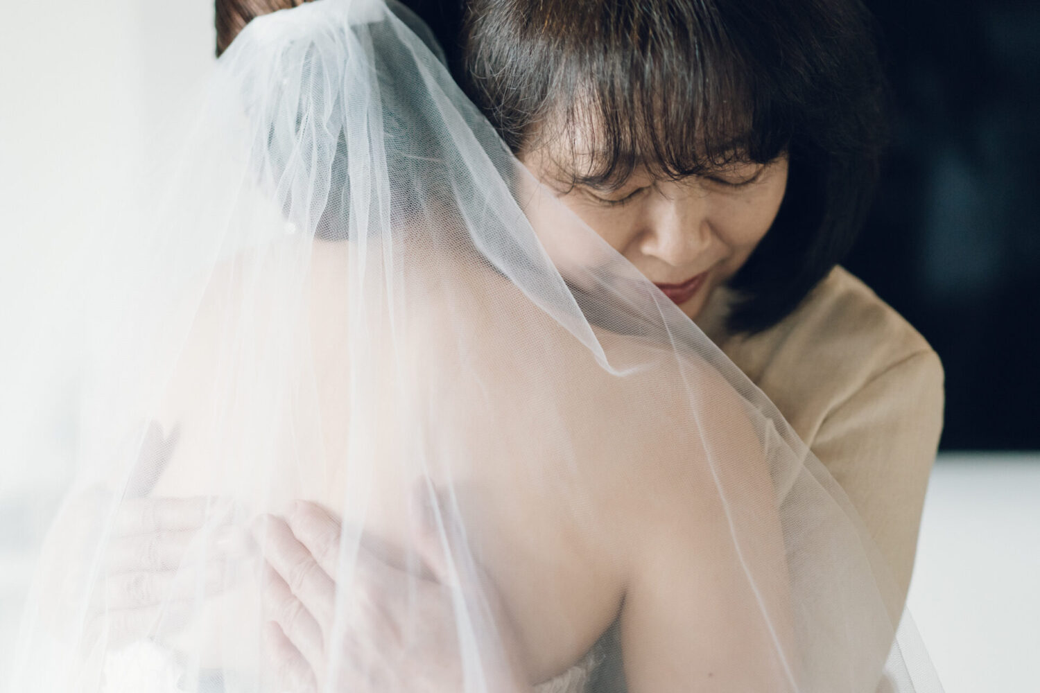 セトノウツツの様子