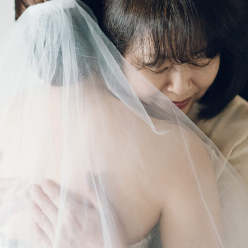 セトノウツツの様子