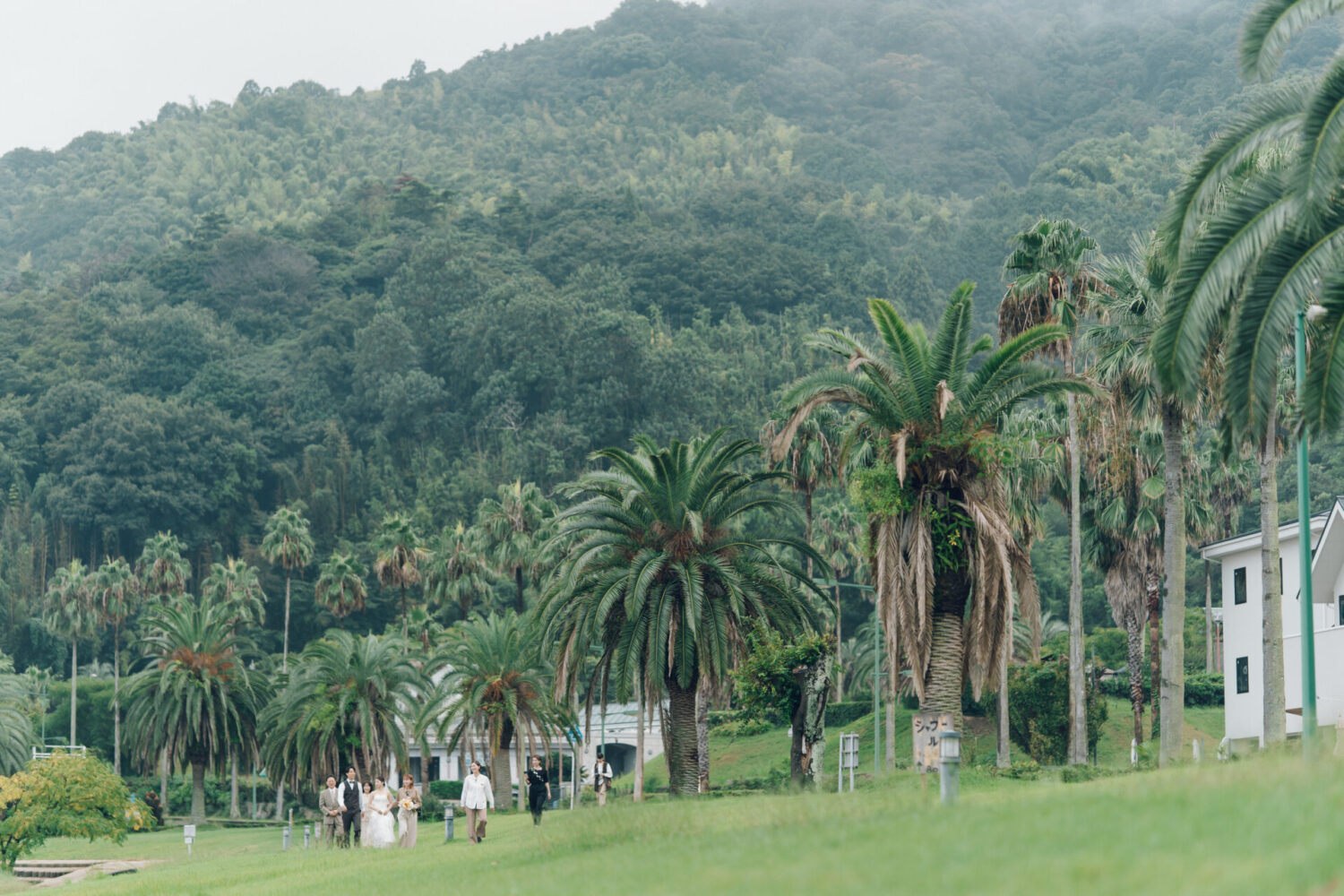 セトノウツツの様子