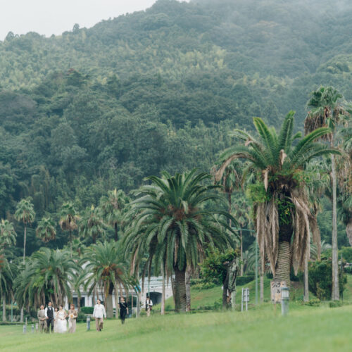 セトノウツツの様子
