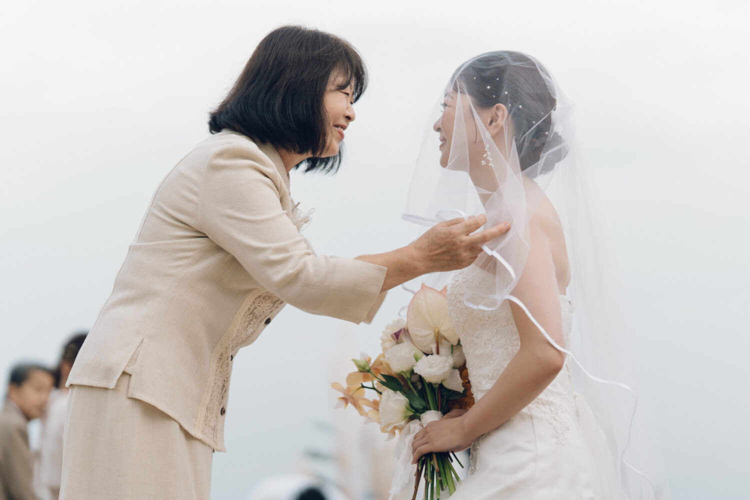 セトノウツツの様子