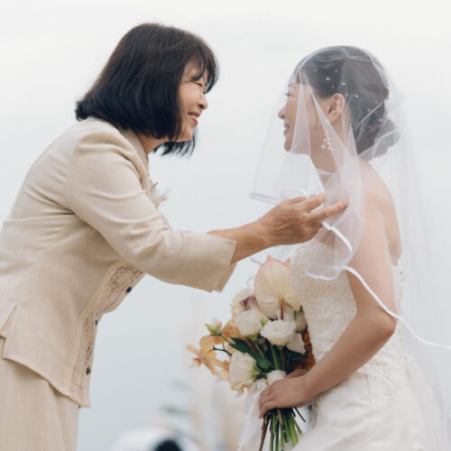 セトノウツツの様子