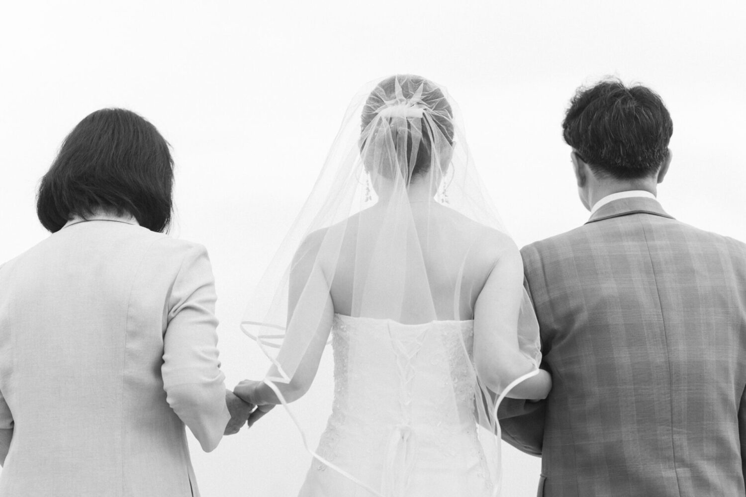 セトノウツツの様子