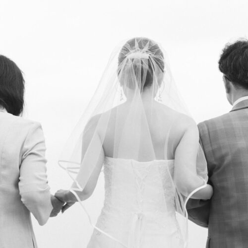 セトノウツツの様子