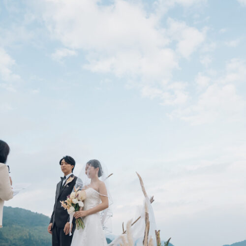 セトノウツツの様子