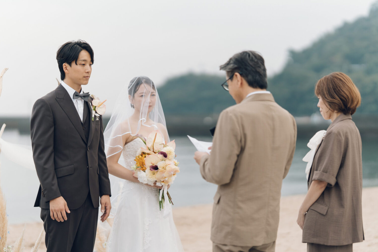 セトノウツツの様子