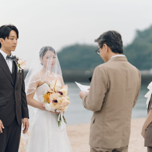 セトノウツツの様子