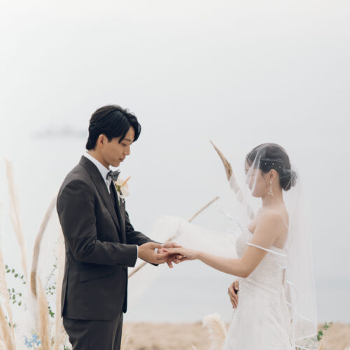 セトノウツツの様子