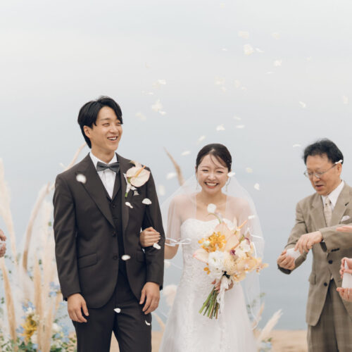 セトノウツツの様子