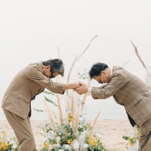 セトノウツツの様子