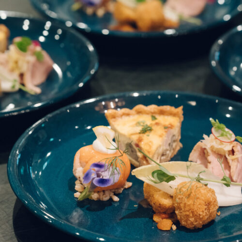 セトノウツツの様子