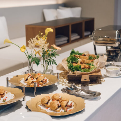 セトノウツツの様子