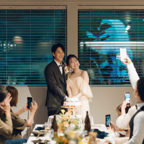 セトノウツツの様子