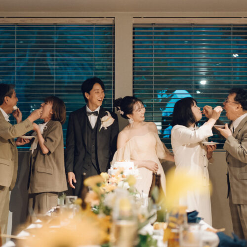 セトノウツツの様子