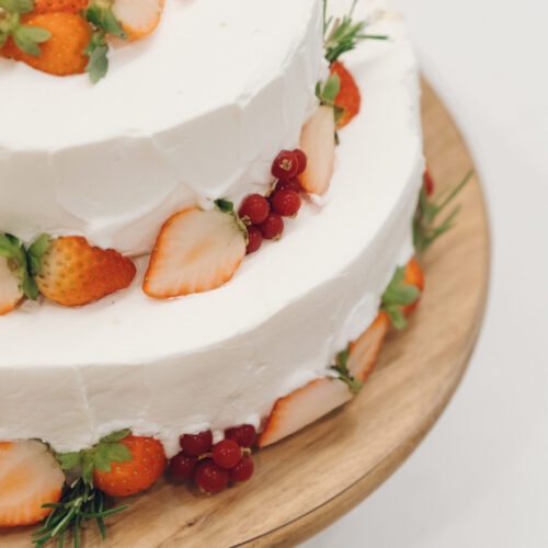 セトノウツツの様子