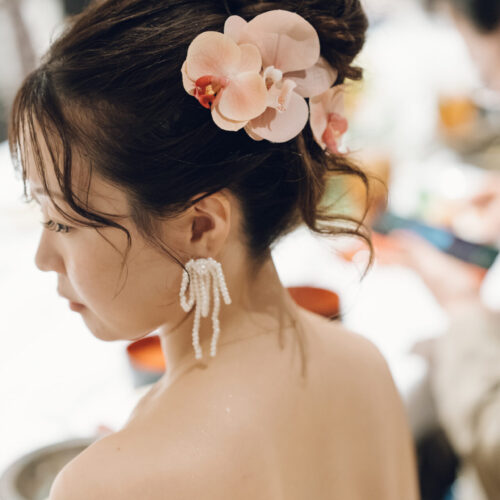 セトノウツツの様子