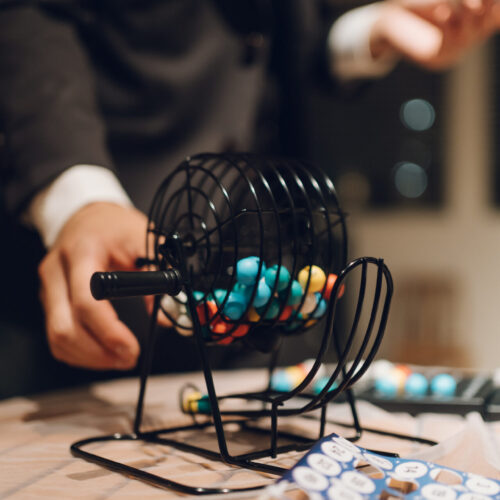 セトノウツツの様子