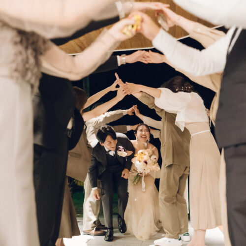 セトノウツツの様子