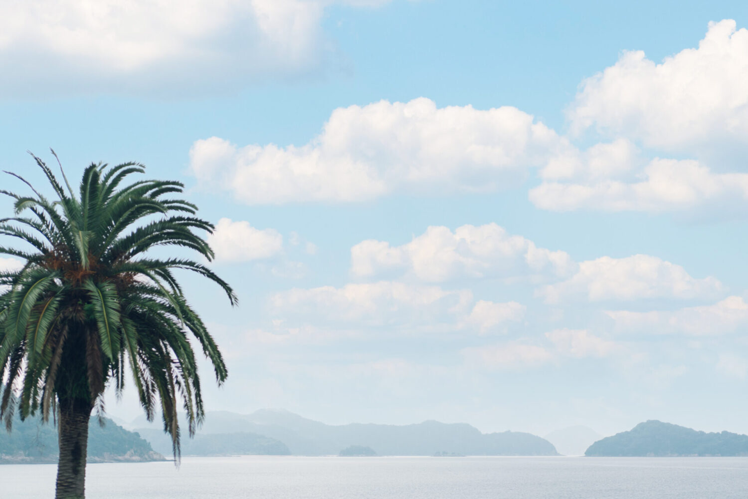 セトノウツツの様子