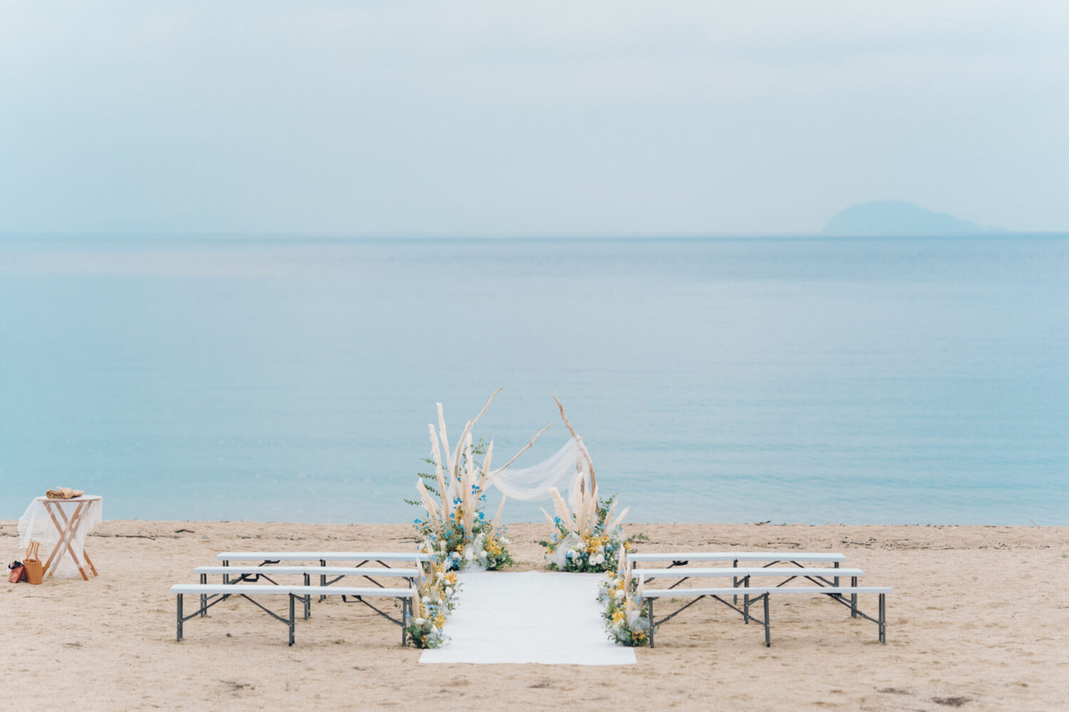 セトノウツツの様子